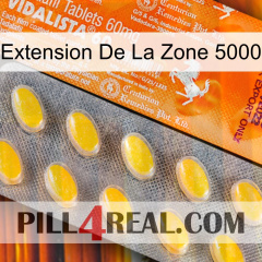 Exten Zone 5000 new05